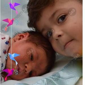 Meet your Posher, Luis